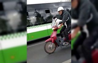 Motosikletli köpek kamerada