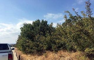 Mudanya Has Mahallede mezarlık isyanı