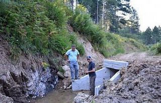 Müdür Keskin: "127 kilometre sanat yapısı...