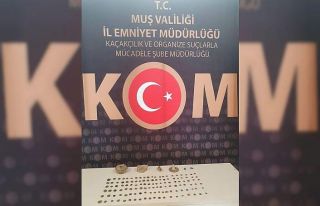 Muş polisinden tarihi eser operasyonu