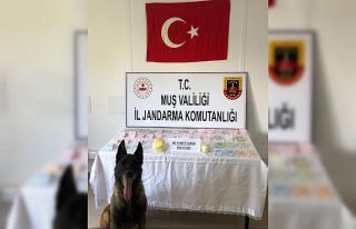 Muş’ta uyuşturucu operasyonu: 4 gözaltı