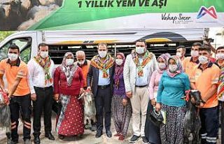 Mut ve Gülnar’da üreticilere kıl keçisi
