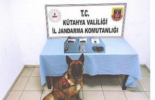 Narkotik köpeği Mola, zehir tacirlerine geçit vermedi
