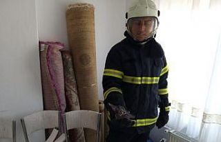 Nevşehir’de eve giren yarasaları itfaiye çıkarttı