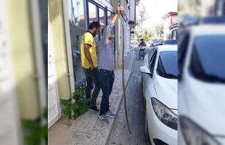 O ilçeyi yılanlar bastı