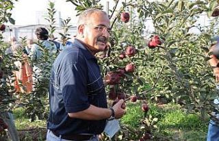 ODÜ meyve bahçesinde hasat şenliği