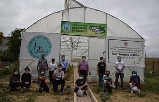Öğrenciler için okulun yanına sera kuruldu
