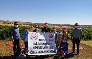 Öğrenciler üzüm bağlarını gezdi