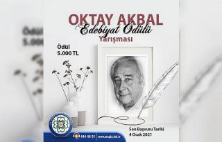 Oktay Akbal edebiyat ödülü yarışması