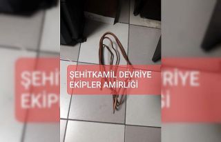 Okul kablolarını çalmak isteyen hırsızlara suçüstü