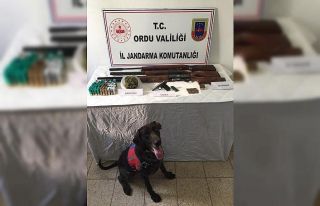 Ordu’da uyuşturucu operasyonu