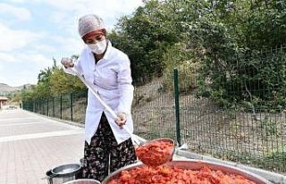 Organik üretime kadın eli değdi