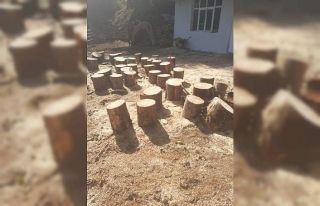 Orman emvali kaçakçılarına jandarma darbesi