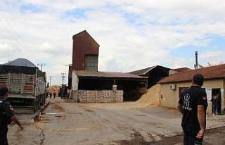 Orman ürünleri üretimi yapan fabrikada gaz bacasının...