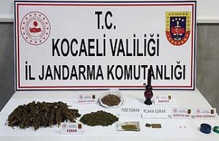 Ormanlık alanda uyuşturucu yetiştiren şahıs hasat...