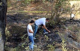 Ormanlık alanda yangın sonrası yanmış ceset bulundu