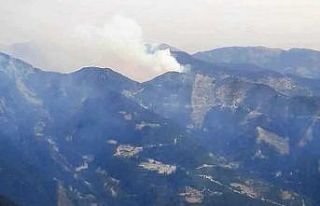 Osmaniye’de orman yangını