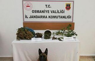 Osmaniye’de uyuşturucu operasyonunda 1 kişi tutuklandı