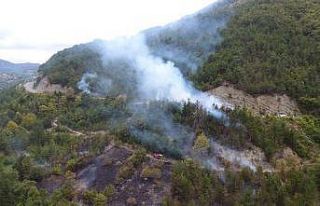 Otları temizlemek isterken ormanı yaktı