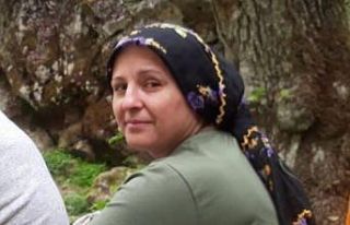 Otomobilin çarptığı 2 çocuk annesi kadın hayatını...