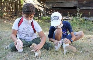 Oyun oynarken buldukları yavru köpekleri harçlıklarıyla...