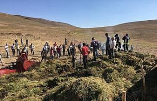 Özalp’ta bin 200 bağ ot yandı