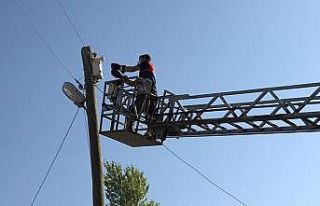 Özalp’ta telefon direğinde mahsur kalan kedi kurtarıldı