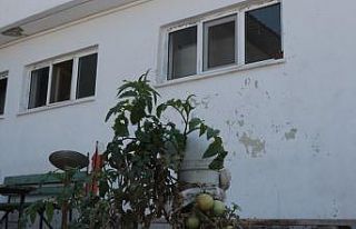 (Özel) Betonda domates