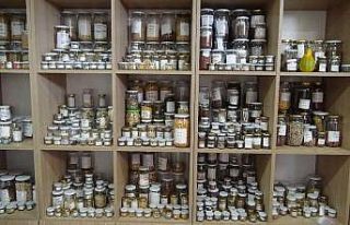 (Özel) Bu kütüphanede ata tohumu üretiliyor