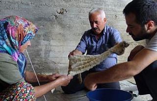 (Özel) Bu peynir bir yılda sofraya geliyor