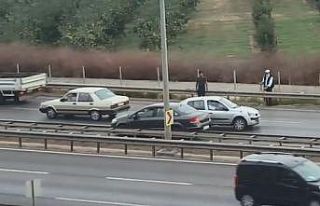 (Özel) Bursa’da başı boş at dehşet saçtı,...