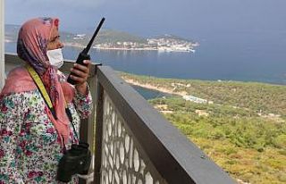 (Özel) İstanbul ormanları 15 yıldır Büyükada’dan...