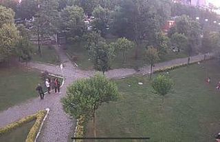 (Özel) İstanbul’da parkta çocuğa hırsızlık...