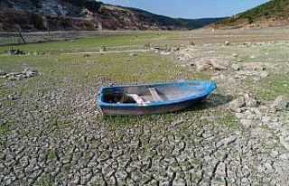 (Özel)S azlıdere Barajı’nda korkutan görüntü