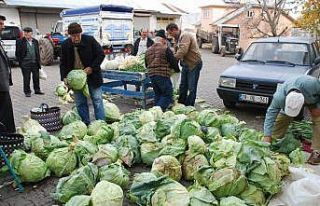 Pancar üretimi yüz güldürecek