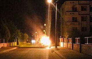 Park halindeki araç alev topuna döndü