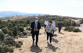 Pazarcık’ta 40 kaya mezar gün yüzüne çıkarılacak