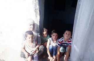 Penceresi ve kapısı kırık evde yaşam mücadelesi...