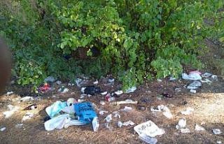 Piknik alanı çöplüğe döndü