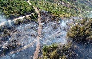 Pozantı’daki orman yangının büyüklüğü drone...