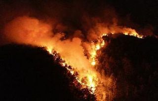 Pozantı’daki orman yangınına müdahale devam...