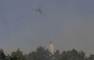 Pozantı’daki orman yangınına tekrardan havadan...