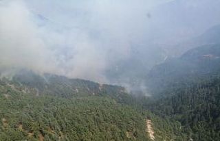 Pozantı’daki yangın kontrollü olarak devam ediyor