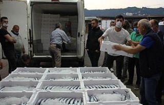 Rize’de denize açılan balıkçılar kasalar dolusu...