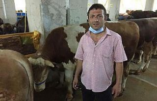 Rize’de denize düşen amatör balıkçı hayatını...