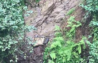 Rize’de itfaiyeden köpek kurtarma operasyonu