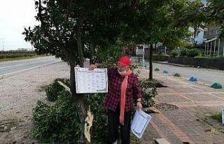 Rize’de Portakallık mahallesine ismini veren portakalların...