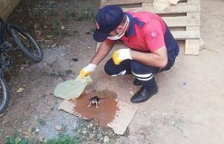 Rögarda sıkışan yavru kediyi itfaiye ekipleri...