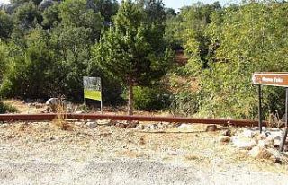 Roma yolu gün yüzüne çıkarıldı