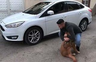 Sahibine kavuşan köpeğin sevinci